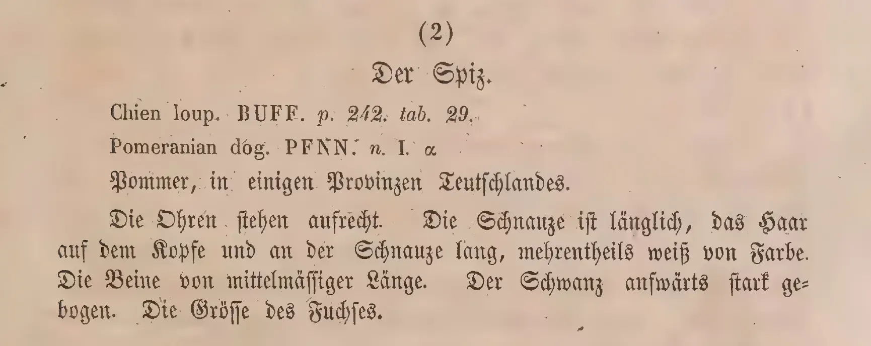 1778-Schreber-Johann-Christian-Daniel-Die-Saeugthiere-in-Abbildungen-nach-der-Natur-mit-Beschreibungen-Theil-3-S.-319