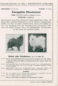 1902 Seyfarth, Arthur, Illustrirter Special-Catalog, S. 24 (Ausschnitt Pomeranians)