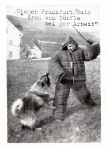 Aron von Dörfle (ZB-Nr. 4232) bei der Arbeit