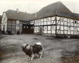 Wolfsspitz 1962
aus: Der Deutsche Spitz (Joseph Hennecke)
