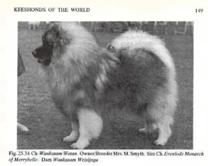 1991 aus: Keeshonds of the World