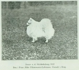 Assor v. d. Heidecksburg, Zuchtbuch Nr. 7
1927
