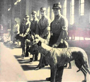 SA-Männer mit Doggen auf einer Hundeschau