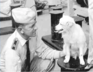 Bordhund Pisco (Gefreiter)
von der Schulfregatte ,,Hipper”, 1962