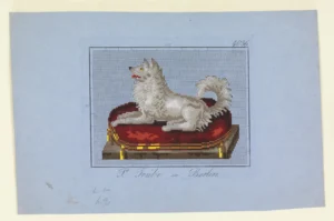 Design für Berliner Wollarbeit, ca. 1850
Zeichnung 21 x 28,3 cm (P. Trübe, Berlin), Cooper Hewitt, Sammlung Smithsonian Design Museum