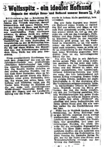 Dillzeitung
26.07.1965
