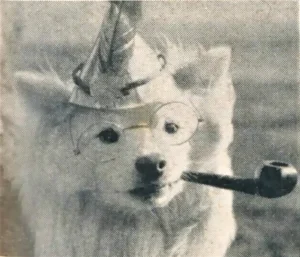 Ein Spitz mit Brille, Pfeife und Hut schaut in die Kamera