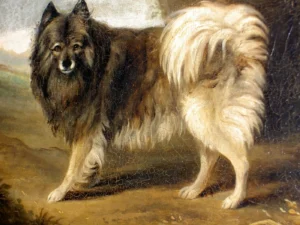 Kees des Prince of Wales, später King George IV
Gemälde von Thomas Gooch (1750 - 1802)