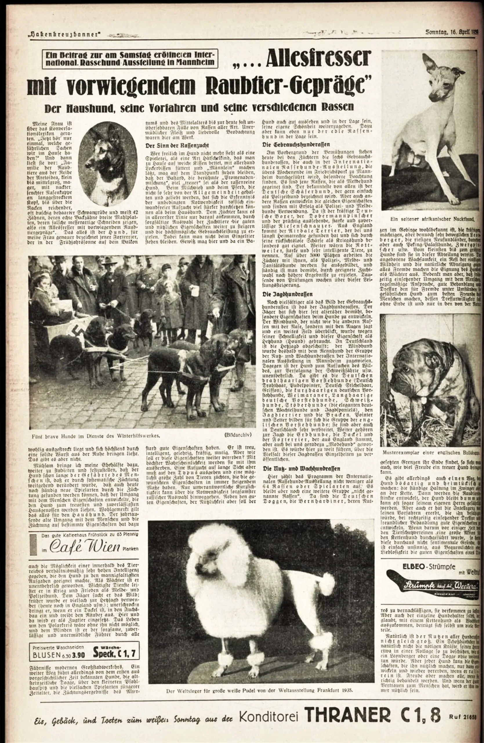 Hakenkreuzbanner, Groß-Mannheim, Sonntag 16. April 1939 eine ganze Seite zum Thema  ". . . Allesfresser mit vorwiegendem Raubtier-Gepräge"