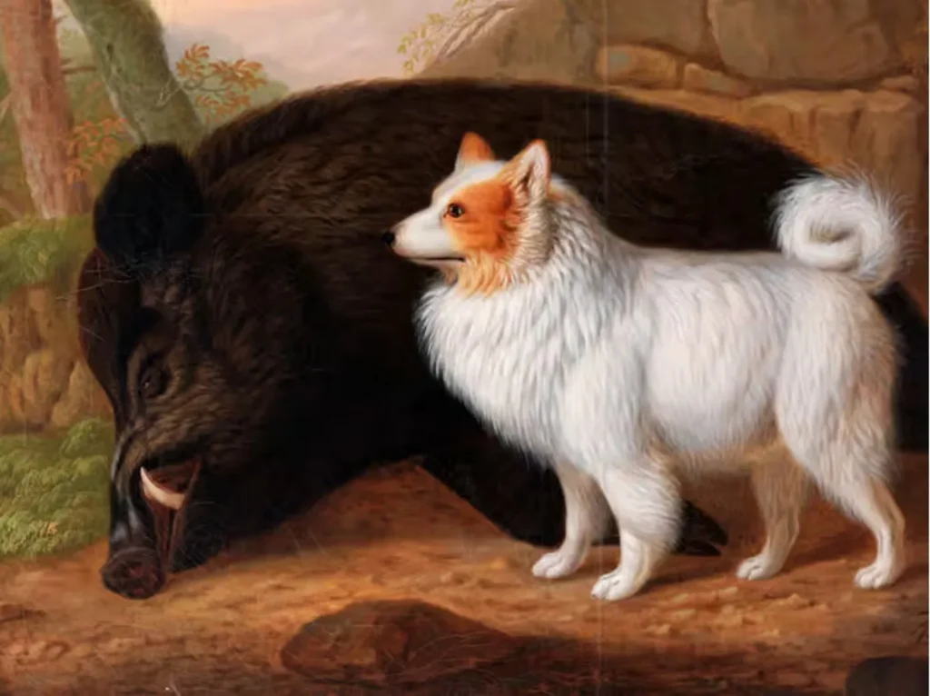 Spitz auf totem Eber. 1818
Gemälde von Christian Wilhelm Karl Kehrer (1770 - 1869)