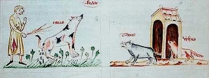 Kolorierte Federzeichnung aus Österreich, um 1350. Quelle Lilienfeld, Stiftsbibliothek, cod. 151. fol. 37v