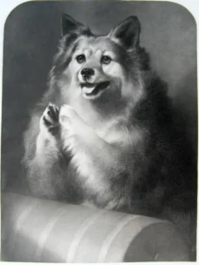 Seidenspitz auf einer Gravur von Edwin & Thomas Landseer Originalgravur - Good Doggie - London 1851