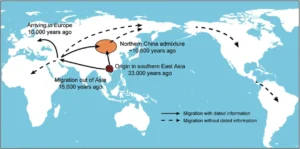Neueste Forschungen legen verschiedene globale Migrationsbewegungen früh domestizierter Hundegruppen nahe - dies ist nur eine davon!