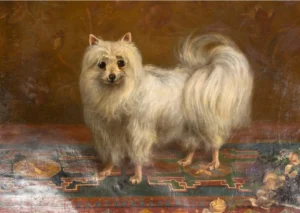 Gemälde von einem Champion Seidenspitz. Stehend auf einem orientalischen Teppich mit Blumenstrauß, 1880, Künstler unb.