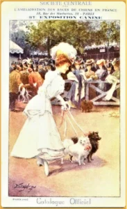 Titelseite  des offiziellen Katalogs der 37. Rassehundeausstellung in Paris