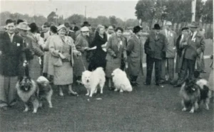 Schnappschuss der Spitzfreunde bei der 2. Weltausstellung mit Kynologenkongress in Dortmund 1956