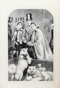 Society of a dog show, aus ,,Pictures of Society. Grave and Gay.'', published by Sampson Low, Son, and Marston, London, 1866.