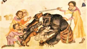 Tierkämpfe, Luttrell Psalter, England um 1330-1340