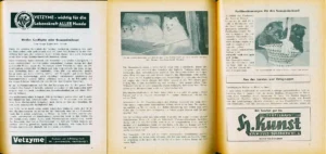 Weißer Großspitz oder Samojedenhund - DDS_16_1957, S. 09-11