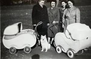 Frauen mit und ohne Kinderwagen und Spitz treffen sich zum gemeinsamen Spaziergang