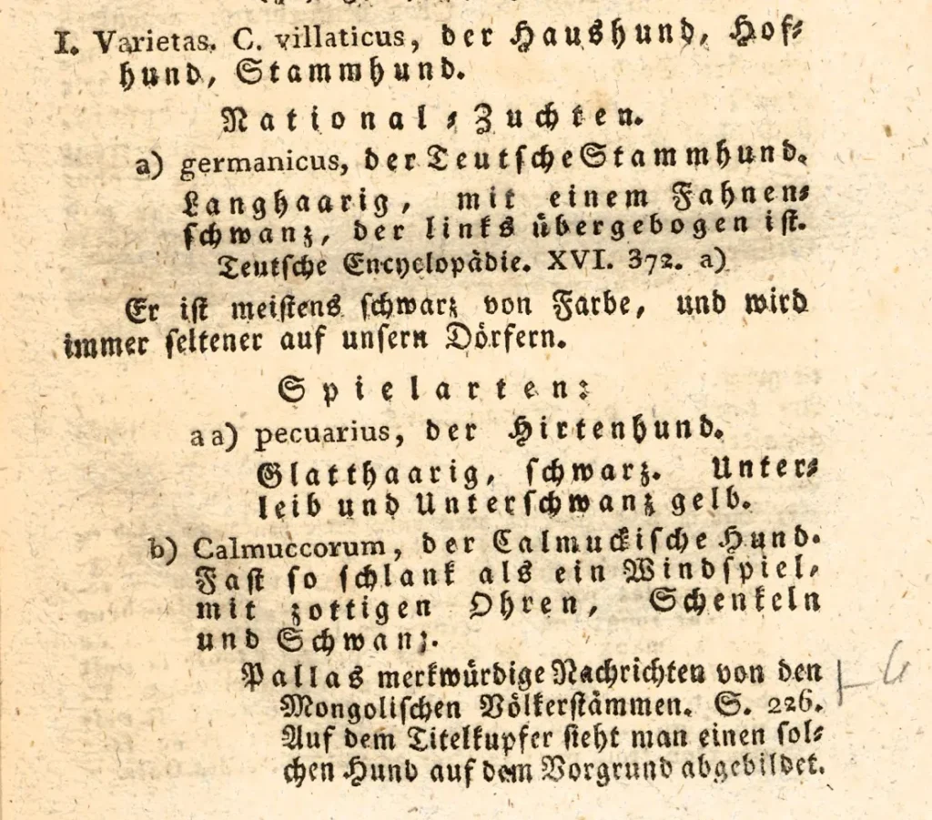 Auszug aus:
Walther, Dr. Friedrich Ludwig, Der Hund, 1817, S. 21