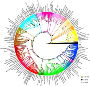 2017 Parker, Heidi G. et al., Genomic Analyses Reveal the Influence of Geographic Origin, Migration, and Hybridization on Modern Dog Breed Development
