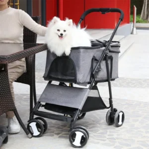 Wer einen Hund als Kinder-Ersatz betrachtet, möchte auch einen Hund, der die Merkmale des Kindchen-Schemas mitbringt!