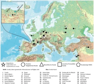Eine Übersicht über die wichtigsten Funde von gezähmten Wölfen und frühen Haushunden im eurasischen Siedlungsraum