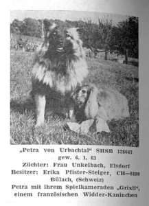 Petra v. Urbachtal mit ihrem Kaninchen (1965)