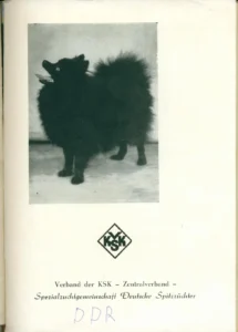 Über den Umgang mit dem Spitz
- Broschüre -