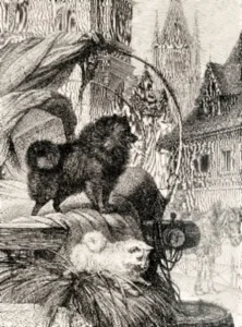 Ein großer und ein kleiner Spitz auf dem Kutschbock
Abbildung von 1880 aus Cassell's Illustrated Book of the Dog