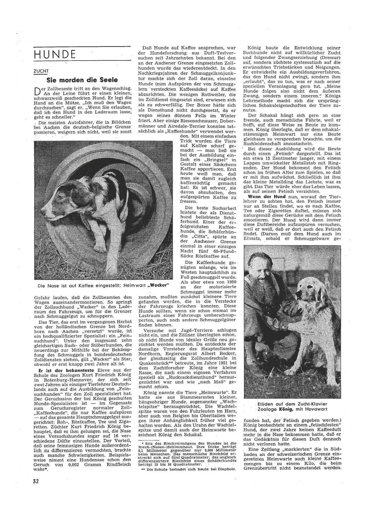 Spiegel-Artikel Hundezucht 02.06.1954 Seite 1