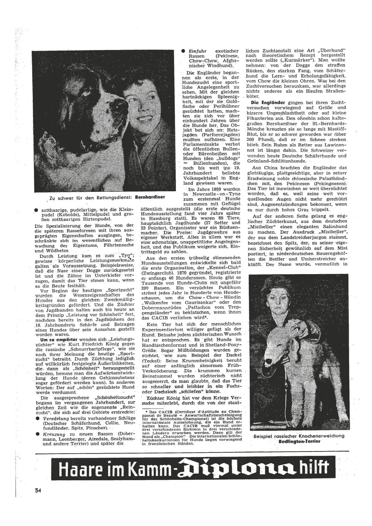 Spiegel-Artikel Hundezucht 02.06.1954 Seite 3