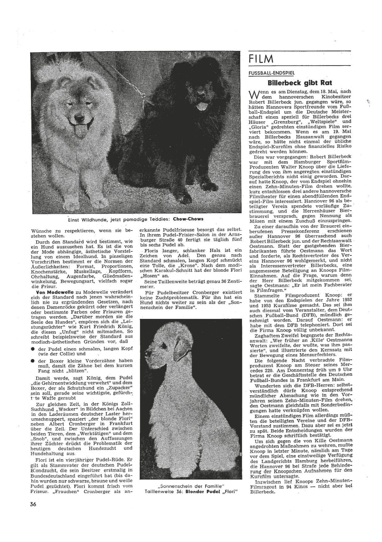 Spiegel-Artikel Hundezucht 02.06.1954 Seite 5