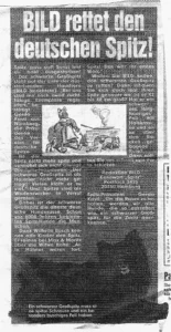 BILD rettet den deutschen Spitz