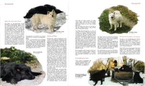 Schweizer Hundemagazin Nr. 2, März / April 2004, S. 40 f
Rasseportrait: der Grossspitz