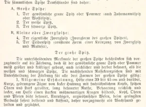 Oesterreichisches kynologisches Jahrbuch. 1. Jahrgang 1897 / 98, Ausschnitt S. 153
